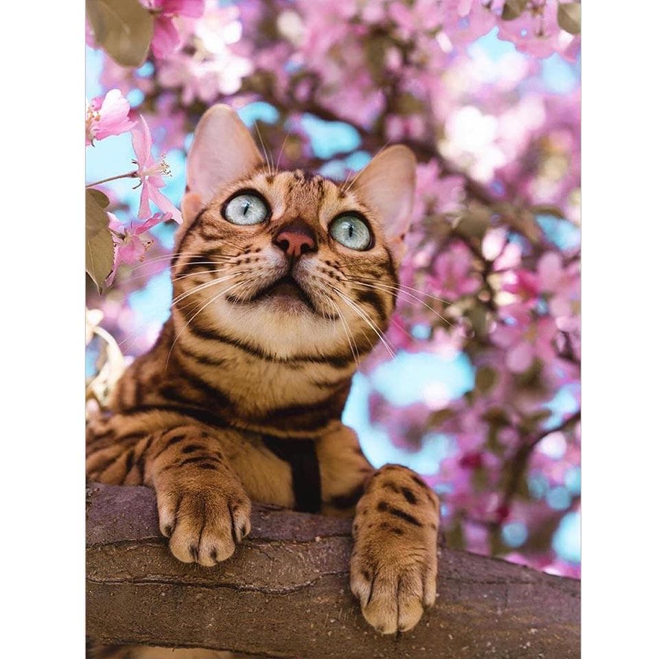 5D DIY Diamond Painting Cat Mosaic Rhinestones Diamond Embroidery 20X30CM