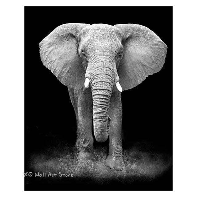 Black White Animals Art Canvas Paintings On The Wall Lion Tiger Elephant Posters and Prints Wall For Living Room Home Frameless 21x30cm No Framed