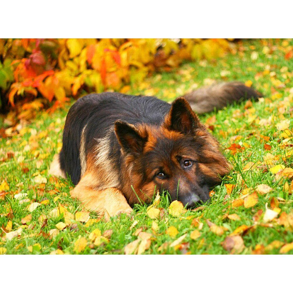 Diamond Painting 5D Diamond Embroidery Shepherd Full Drill Mosaic Stickers Cross Stitch Home Decor 20X30CM