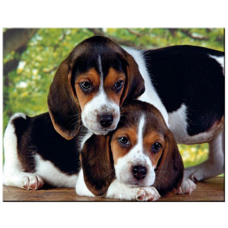 Diy Diamond Painting American Foxhound Full Round Mosaic Decoration Embroidery Pattern Cross Stitch 20X30CM
