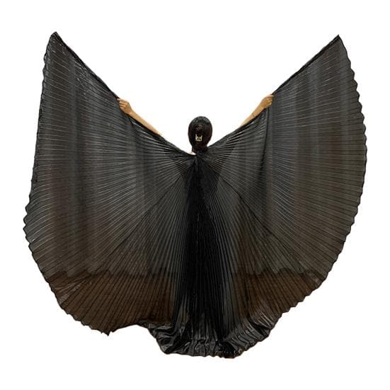 1 Set Performance Telescopic Rod 360 Wings Egyptian Degree Belly Dance Cape with Costume Pleated Bright black
