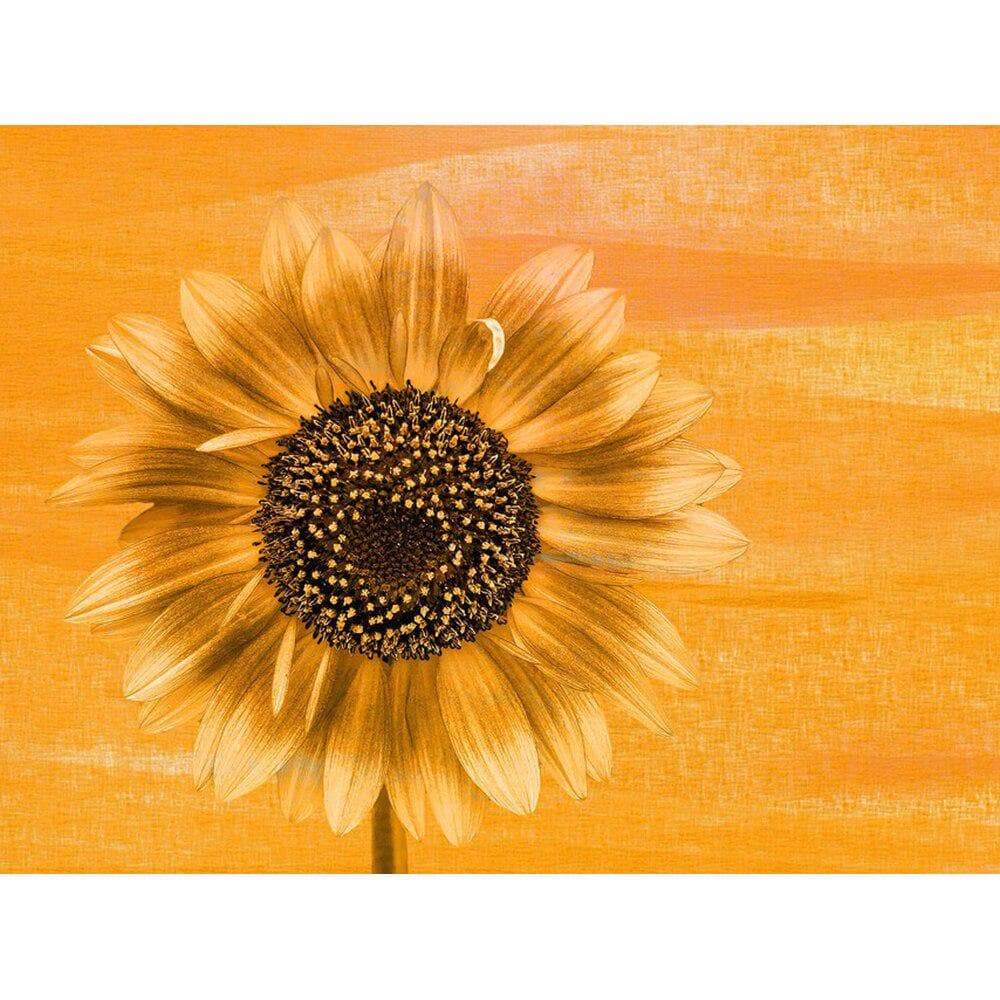 Diamond Embroidery Flower Rhinestone Painting Sunflower Picture Diamond Painting Flower Home Decor 20X30CM