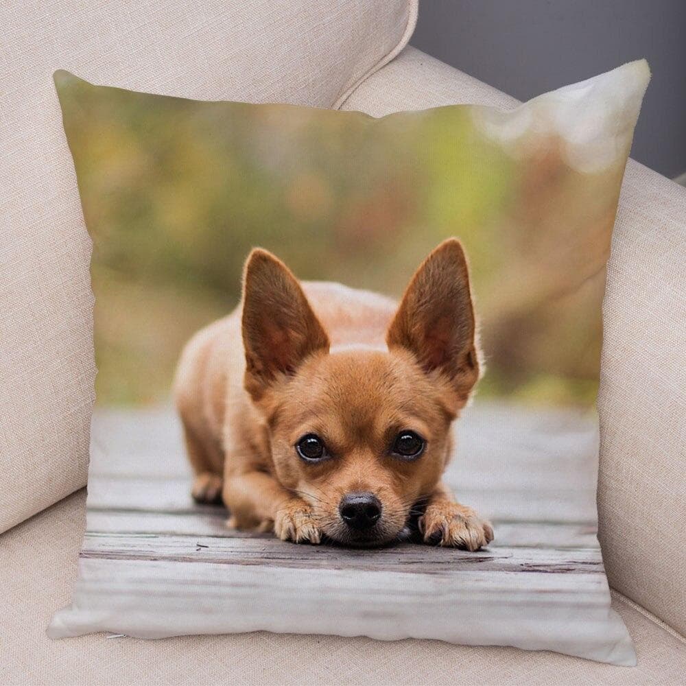 Cute Pet Animal Pillowcase Decorative Cute Puppy Chihuahua Pillowcase Soft Plush Cushion Cover for Car Sofa Home 45x45cm 40x40cm