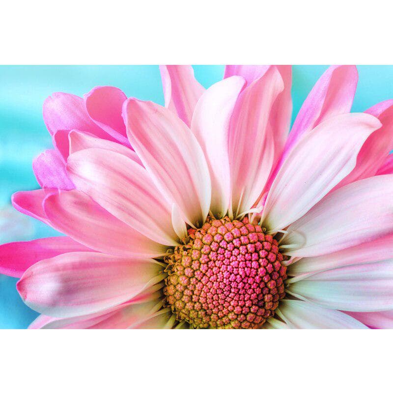 Full Round Drill 5D DIY Diamond Painting pink Flowers Diamond Embroidery Cross Stitch 20X30CM