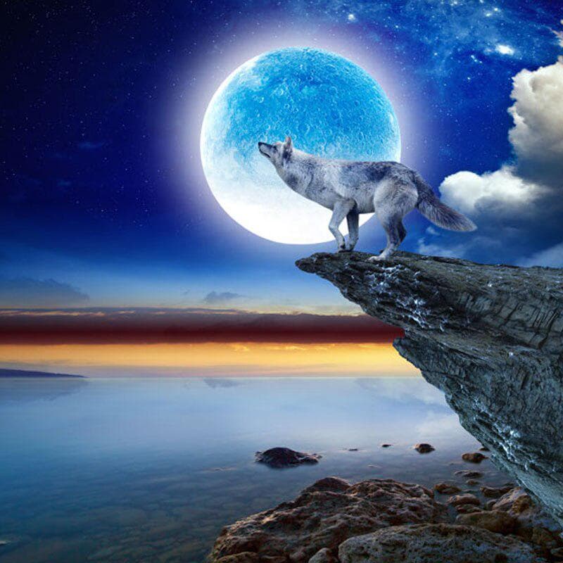 DIY 5d Diamond Painting Wolf Full Round Embroidery Animals Pattern Cross Stitch 30x30CM
