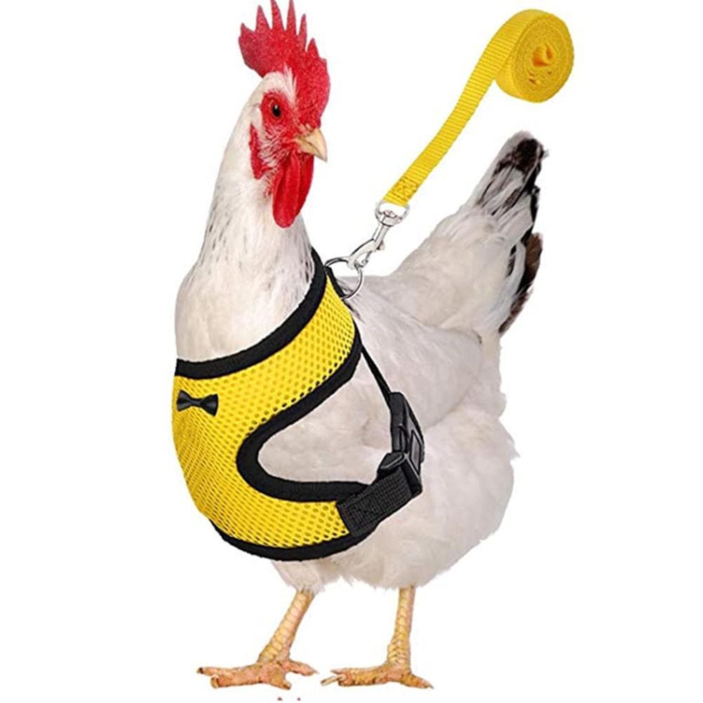 Adjustable Chicken Harness with Leash Breathable Hen Pet Vest with 3.6 Feet Matching Belt Outdoor