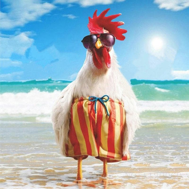 Fashionable Beach Cock Sale DIY Diamond Painting Cross Stitch Mosaic Home Decor Diamond Embroidery 30x30CM