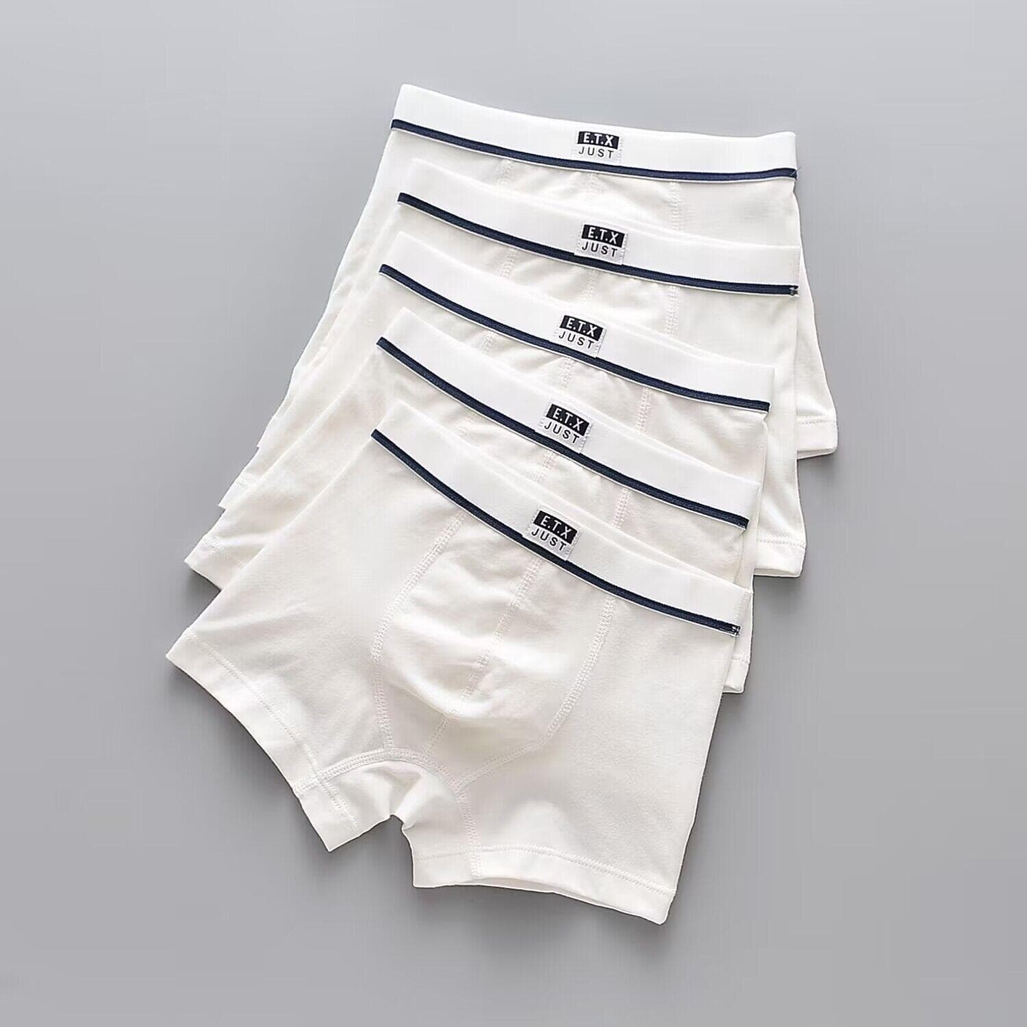 5Pcs Boys Underwear Boxer Kids Shorts Panties Cotton Boys Underpants 100-160 110 white
