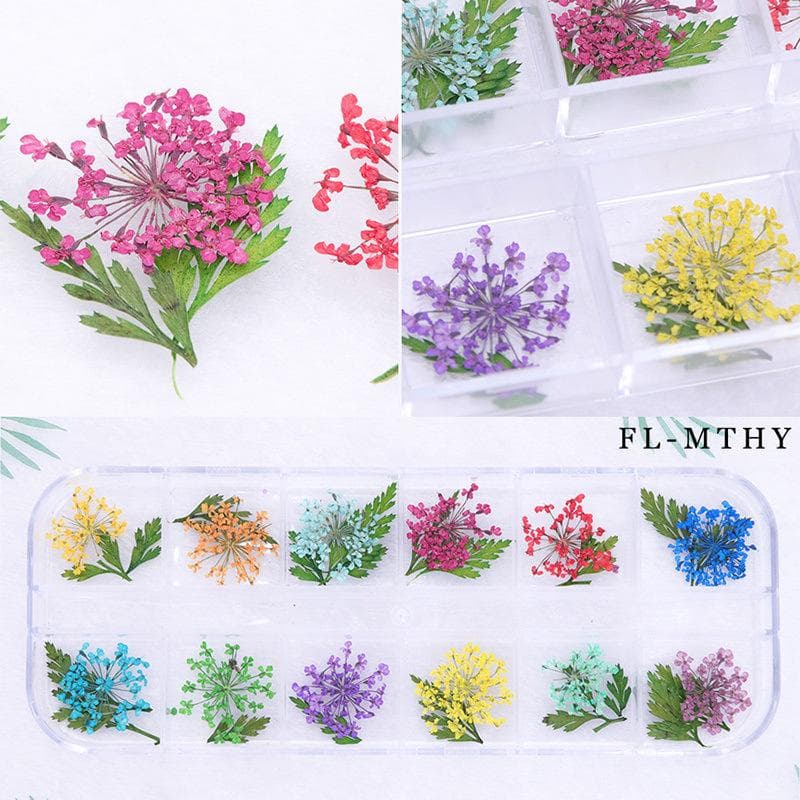 Nail Art Natural Dry Flower Lace Three-dimensional Plant 12 Grid Box Nail Accessories