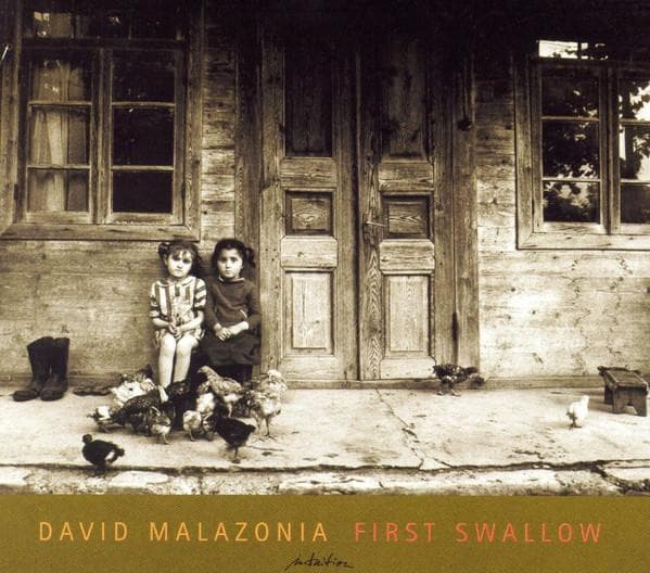 CD DAVID MALAZONIA - First Swallow INT33522 Intuition Recor 2004 Germany Jazz Used