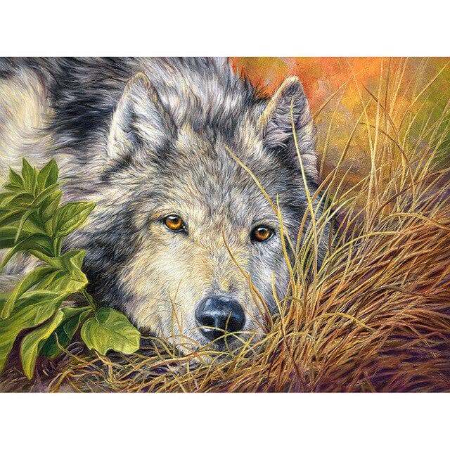DIY 5D Diamond Painting Wolf Animal Mosaic Kit Cross Stitch Diamond Embroidery Full Drill Round 40X50CM orange