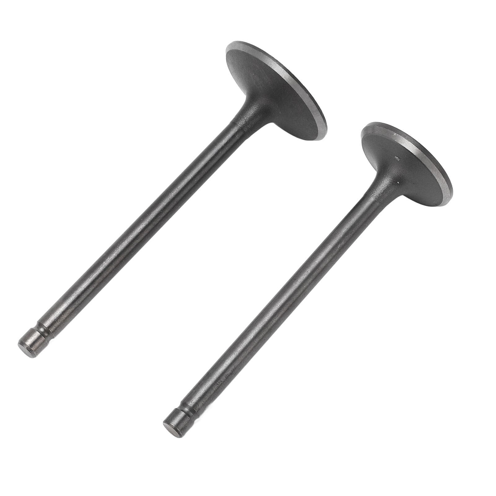 Exhaust Intake Valve Kit Black Exhaust Intake Valve Set Replacement for XG250 TRICKER 2004?2017
