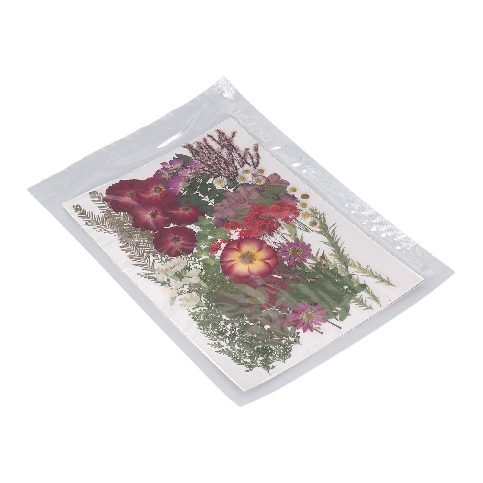 100 Pieces Pressed Flowers Leaves Dry Flower Material Kit for Resin Molds Scrapbooking Art Crafts