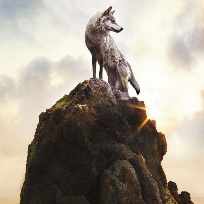 DIY Diamond Painting Wolf King Climb Top Animal Diamond Embroidery Cross Stitch Home Decoration 30X30CM