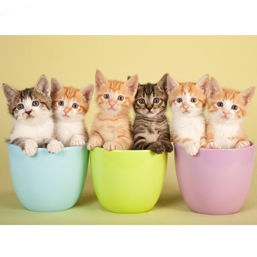 Diamond Embroidery Diamond Painting Cute Cats Cup Diamond Mosaic Kitty Pet Cross Stitch Rhinestone 20X30CM