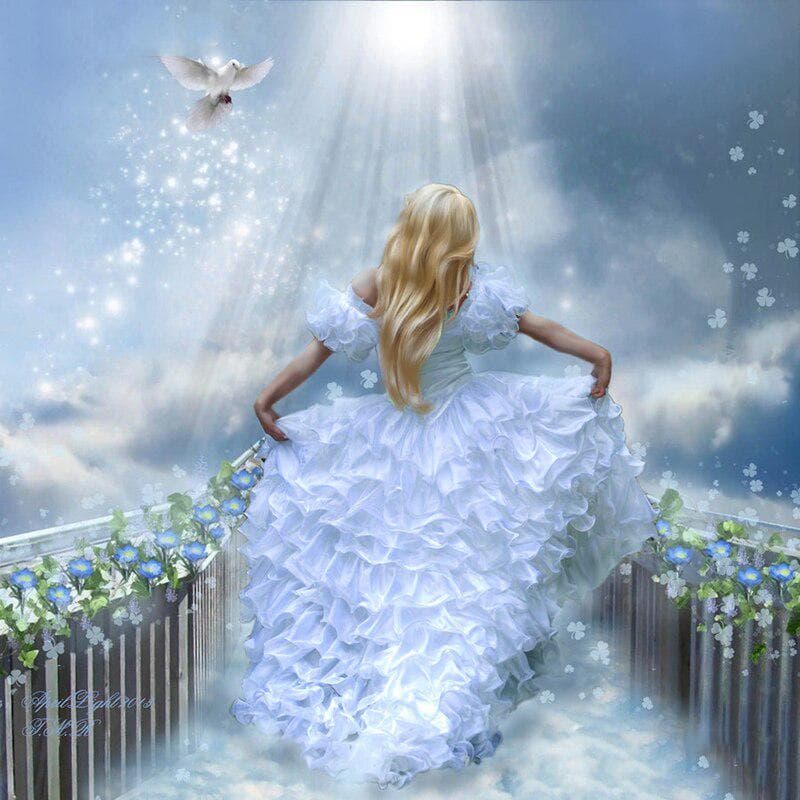 5D DIY Diamond Painting Full Round Drill Princess Pigeon Embroidery Cross Stitch 30x30CM